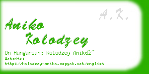 aniko kolodzey business card